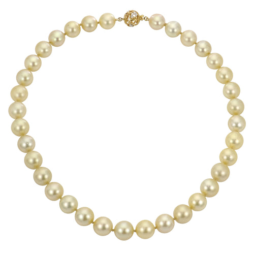 Golden South Sea Pearl Necklace - Oz's Jewelers