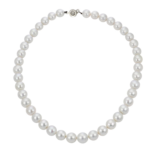 White South Sea Pearl Necklace - Oz's Jewelers