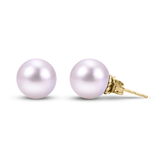 White South Sea Pearl Stud Earrings - Oz's Jewelers